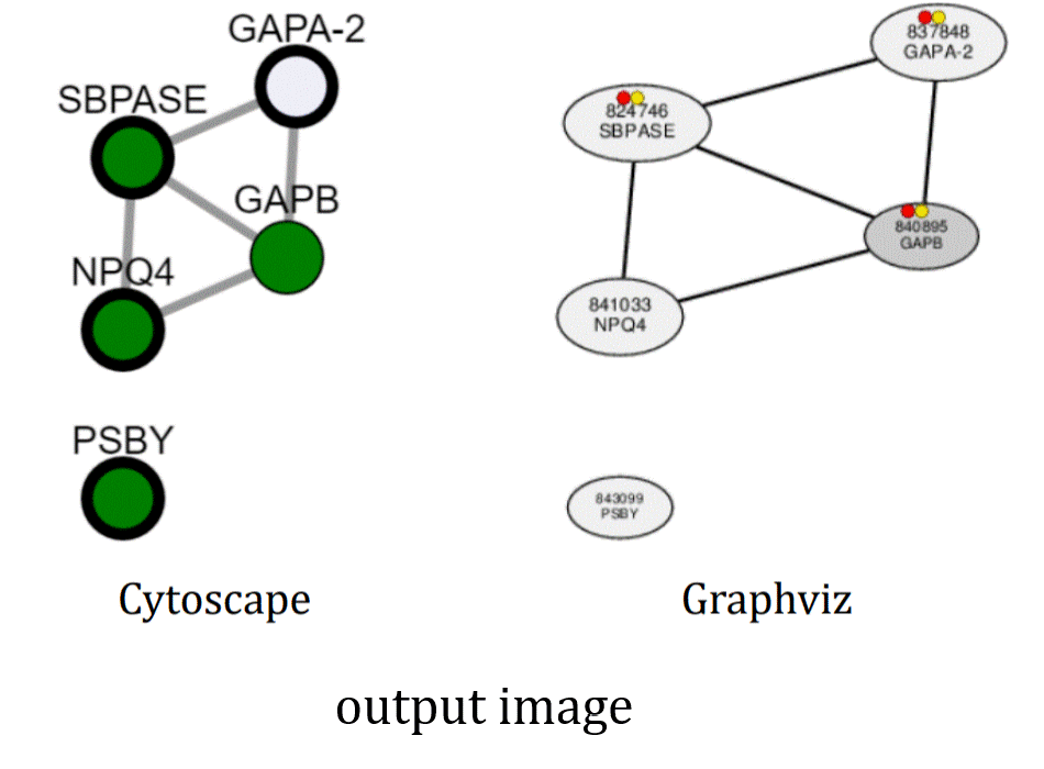 output image