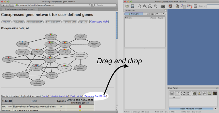 install cytoscape 2.8