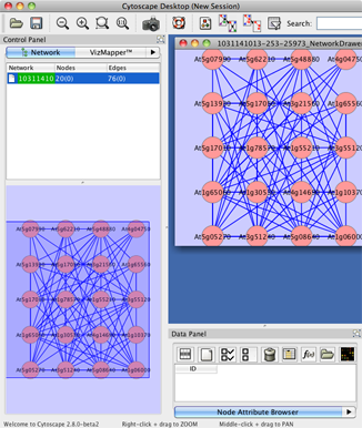 cytoscape js examples