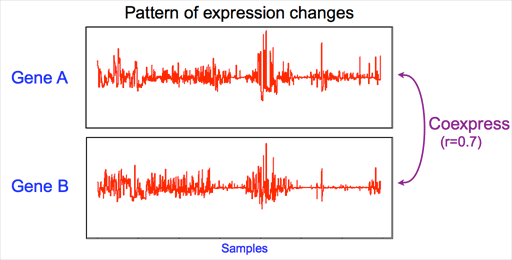 Pattern of expression changes